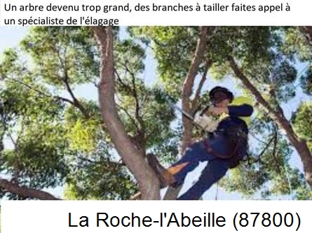 Elagueur qualifié à La Roche-l'Abeille-87800