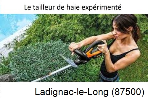 entretien jardin à Ladignac-le-Long-87500