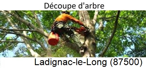 Entreprise du paysage Ladignac-le-Long-87500