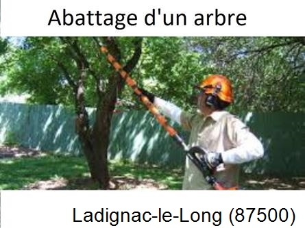Etêtage et abattage d'un arbre Ladignac-le-Long-87500