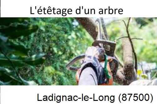 Artisan Abatteur d'arbres Ladignac-le-Long-87500
