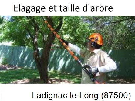 Elagage chez particulier Ladignac-le-Long-87500