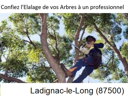 Société d'élagage à Ladignac-le-Long-87500
