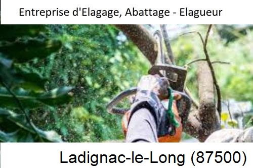 Travaux d'abattage d'arbres à Ladignac-le-Long-87500