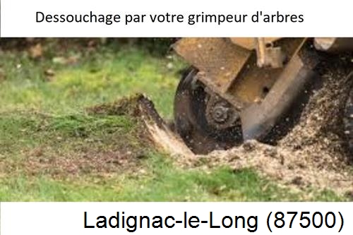 abattage d'arbres à Laurière-87370