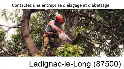 Entreprise d'élagage à Ladignac-le-Long-87500