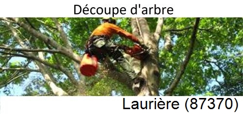 Entreprise du paysage Laurière-87370