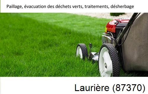 Entreprise de paysage pour entretien de jardin Lavignac-87230