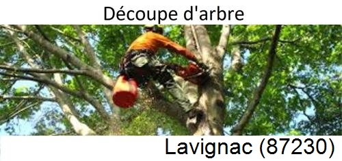 Entreprise du paysage Lavignac-87230