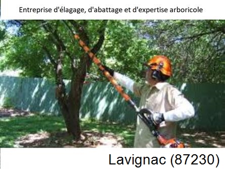 Coupe tête d'arbres Lavignac-87230