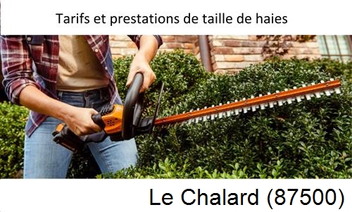 taille de haies Le Chalard-87500