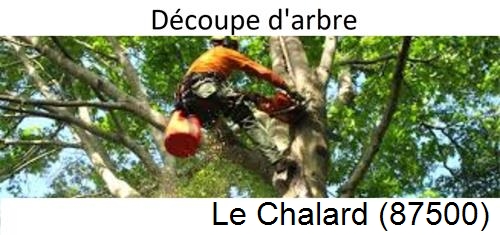 Entreprise du paysage Le Chalard-87500