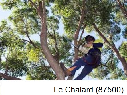 Elagueur à Le Chalard-87500
