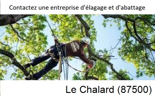 Travaux d'élagage à Le Chalard-87500