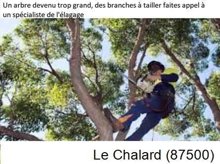 Elagueur qualifié à Le Chalard-87500