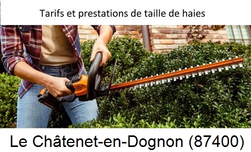taille de haies Le Châtenet-en-Dognon-87400