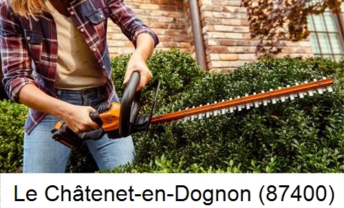 entretien jardin par paysagiste Le Châtenet-en-Dognon-87400