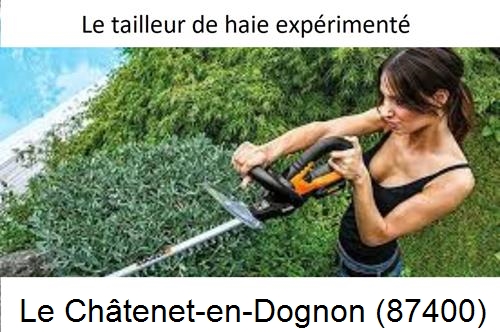 entretien jardin à Le Châtenet-en-Dognon-87400