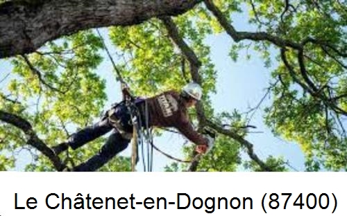 Abattage d'arbres chez un particulier Le Châtenet-en-Dognon-87400