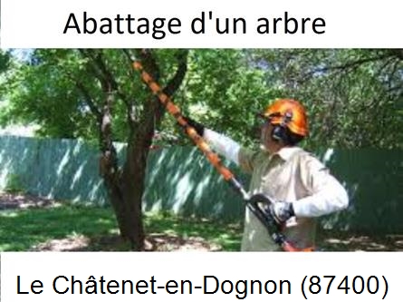 Etêtage et abattage d'un arbre Le Châtenet-en-Dognon-87400