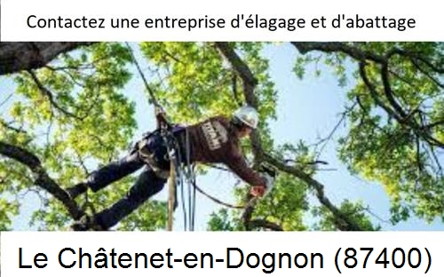 Travaux d'élagage à Le Châtenet-en-Dognon-87400