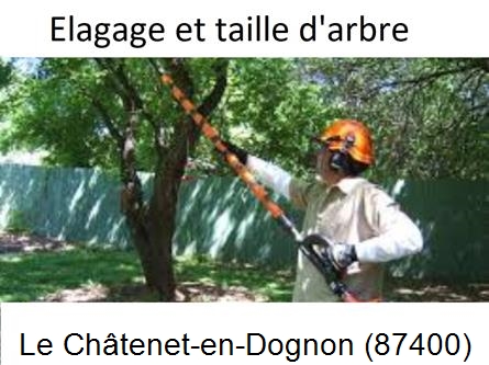 Elagage chez particulier Le Châtenet-en-Dognon-87400