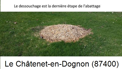 déssouchage d'arbres Le Châtenet-en-Dognon-87400