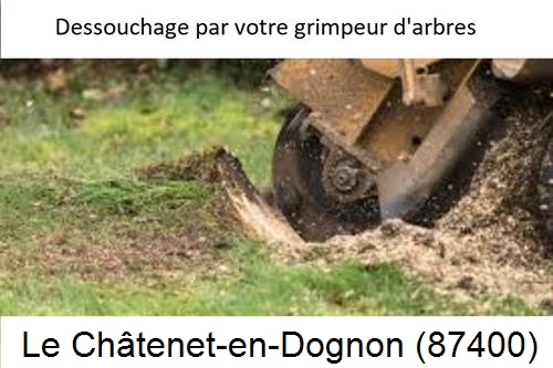 abattage d'arbres à Le Châtenet-en-Dognon-87400