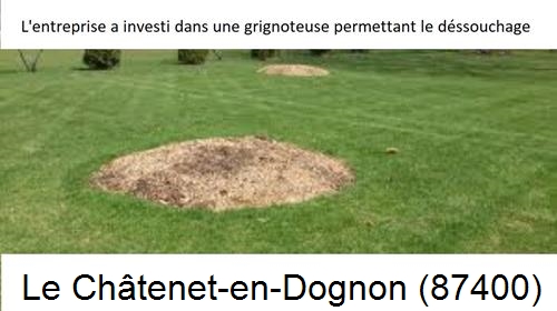 Artisan pour déssouchage d'arbres Le Châtenet-en-Dognon-87400