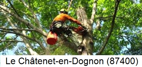 Déssouchage, étêtage d'arbres Le Châtenet-en-Dognon-87400