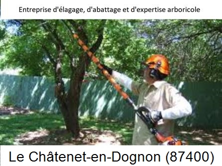 Coupe tête d'arbres Le Châtenet-en-Dognon-87400