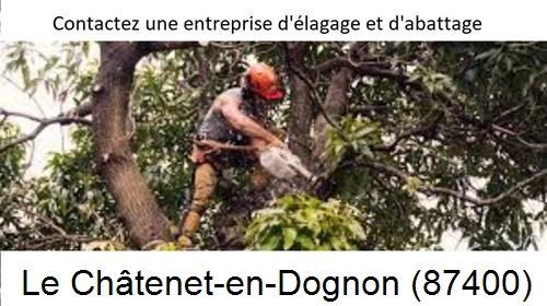 Entreprise d'élagage à Le Châtenet-en-Dognon-87400