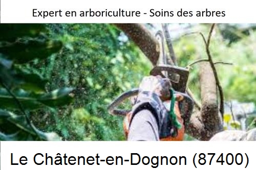 Elagage en sécurité à Le Châtenet-en-Dognon-87400