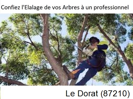 Société d'élagage à Le Dorat-87210
