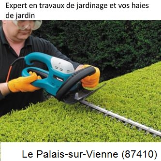 Taille et entretien jardin Le Palais-sur-Vienne-87410