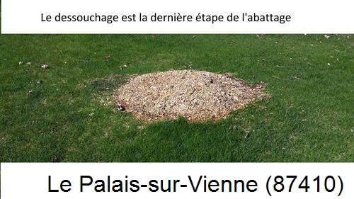 déssouchage d'arbres Le Palais-sur-Vienne-87410