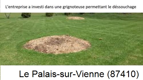 Artisan pour déssouchage d'arbres Le Palais-sur-Vienne-87410