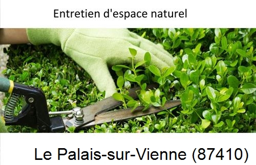 Rénovation jardin particulier Le Palais-sur-Vienne-87410