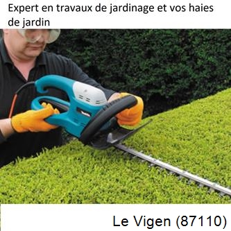 Taille et entretien jardin Le Vigen-87110