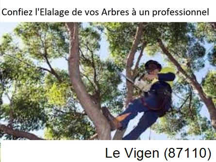 Société d'élagage à Le Vigen-87110