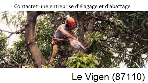 Entreprise d'élagage à Le Vigen-87110