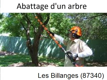 Etêtage et abattage d'un arbre Les Billanges-87340