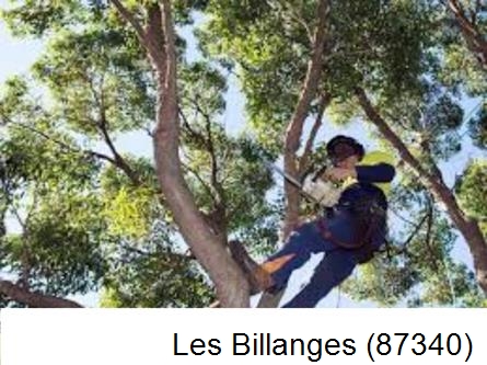 Elagueur à Les Billanges-87340