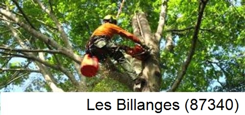 Entreprise du paysage Les Billanges-87340