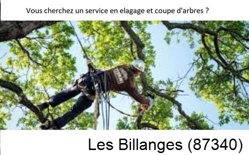 Etêtage d'arbres à Les Billanges-87340