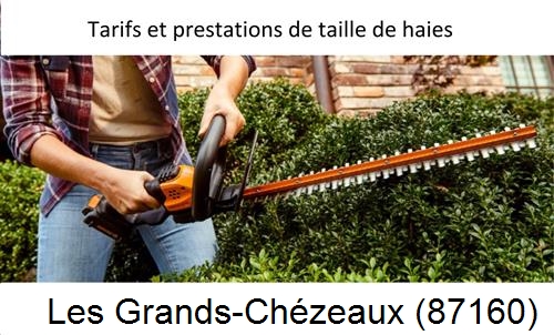 taille de haies Les Grands-Chézeaux-87160