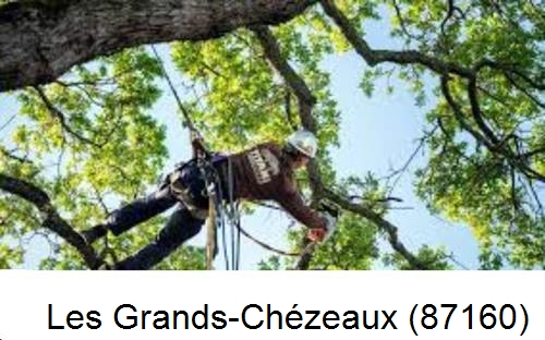 Abattage d'arbres chez un particulier Les Grands-Chézeaux-87160
