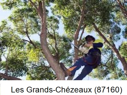 Elagueur à Les Grands-Chézeaux-87160