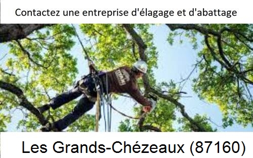 Travaux d'élagage à Les Grands-Chézeaux-87160
