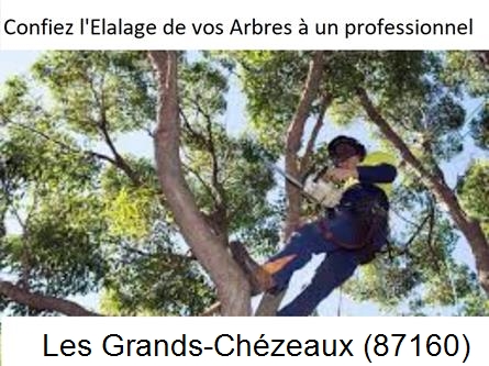 Société d'élagage à Les Grands-Chézeaux-87160